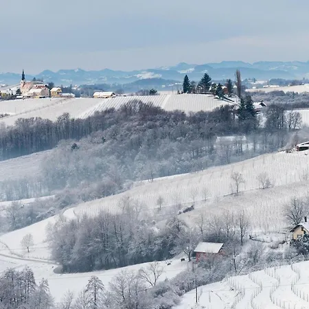 Pool & Whirlpool Art Вилла Trebnje