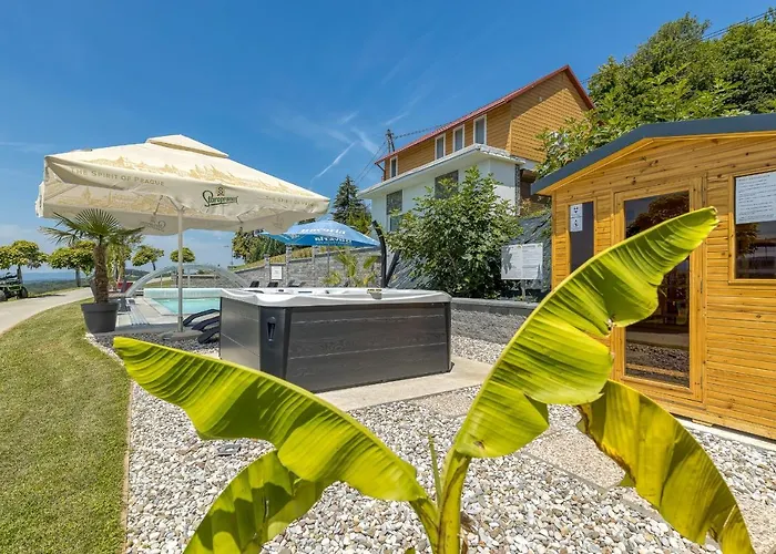 Villa Pool & Whirlpool Art Trebnje